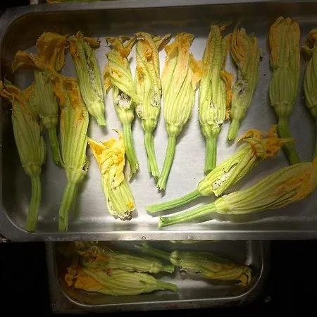 Agriturismo I Giardini Di Ararat