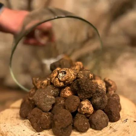 Agriturismo I Giardini Di Ararat * Bagnaia (Viterbo)