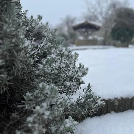 Agriturismo I Giardini Di Ararat *