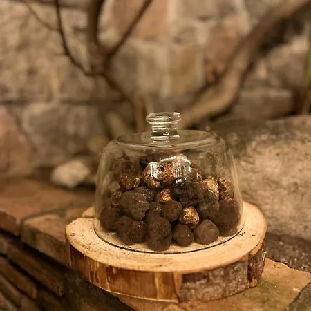 Κατάλυμα σε φάρμα Agriturismo I Giardini Di Ararat